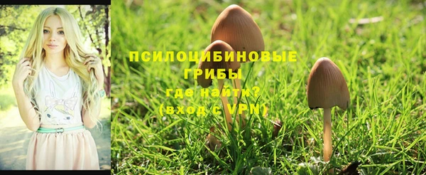соль курить ск Бронницы