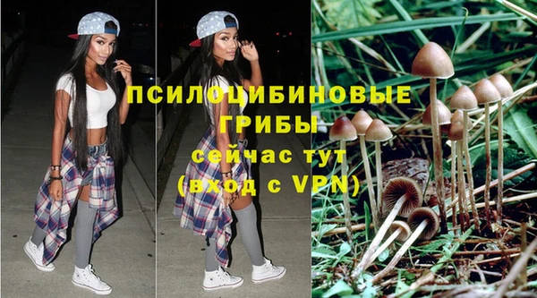 мдма Бородино