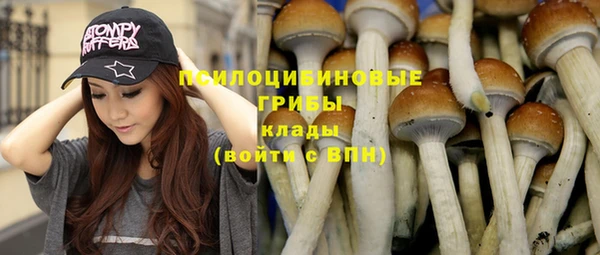 соль курить ск Бронницы